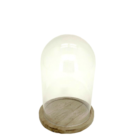 Cloche en verre, socle bambou H.19 cm