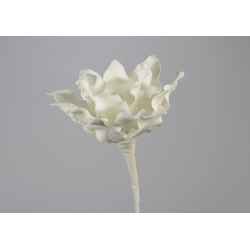 Tige de fleur Cumbia H.53 cm blanche