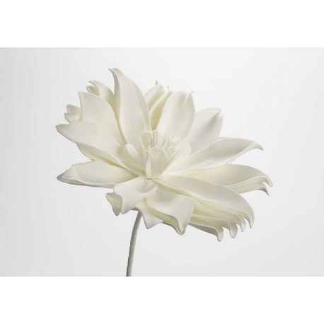 Tige de fleur Pana H.80 cm blanche