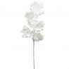 Tige de fleur Stella blanche H.78 cm